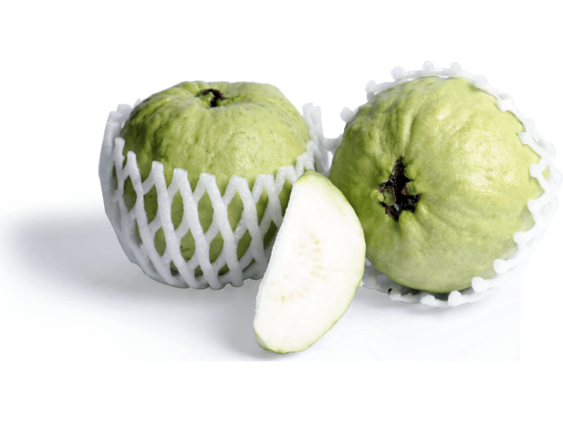 thai-guava-3